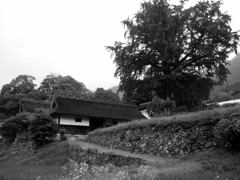 山のお屋敷