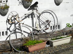 白い自転車