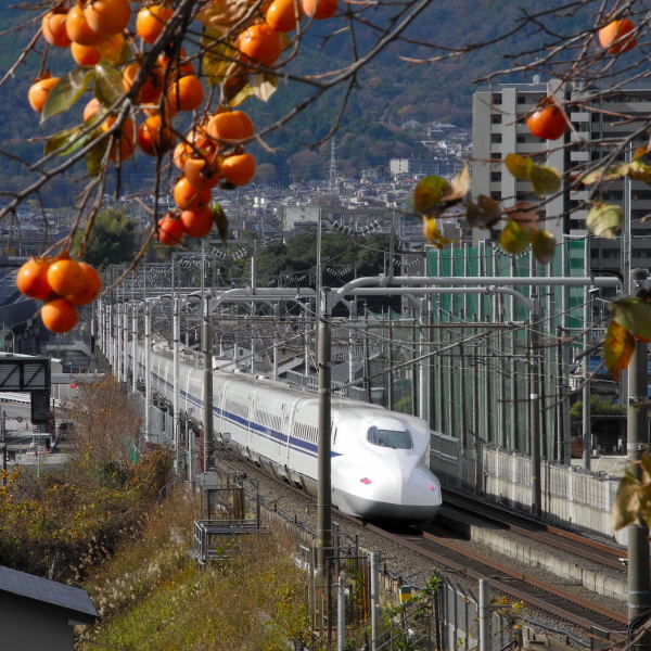 秋の京都へ