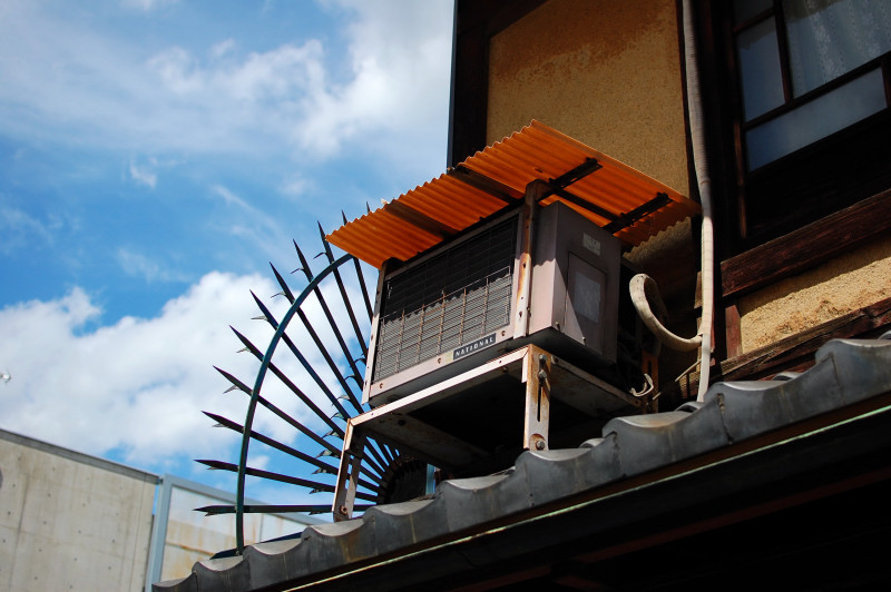 この夏も頑張った