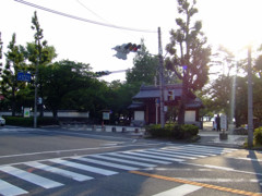 朝　膳所城址公園