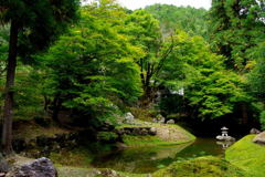 常照皇寺　山内
