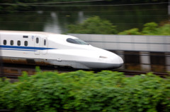 流し撮りに挑戦！