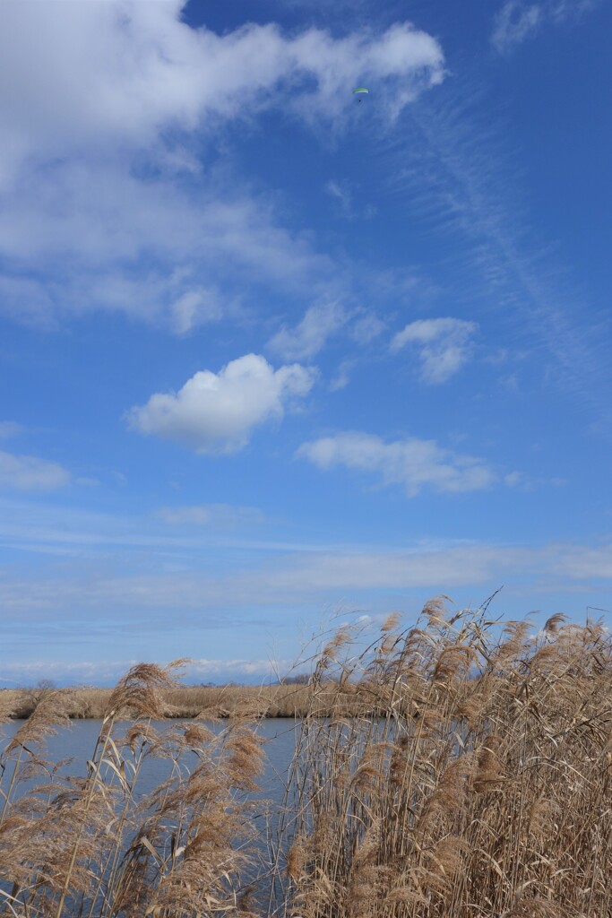 気持ちのいい空