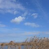 気持ちのいい空
