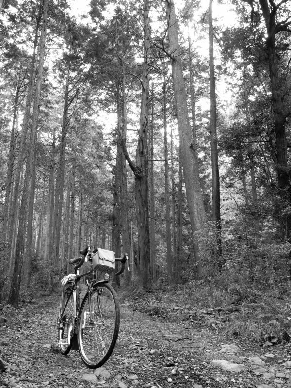 森の中の自転車