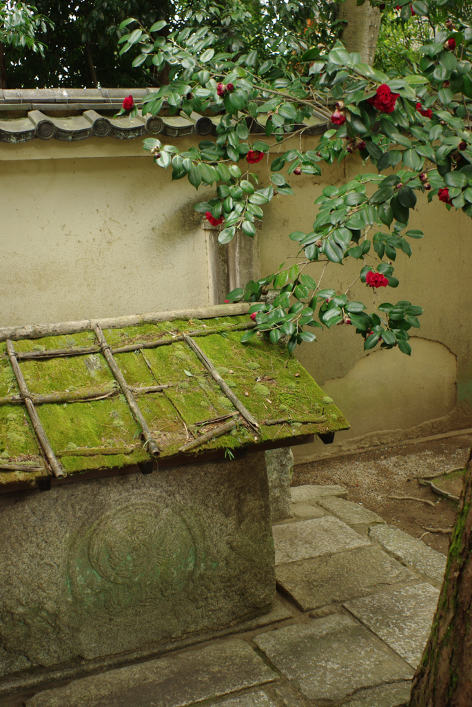 大徳寺にて