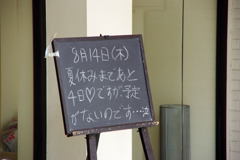夏の予定