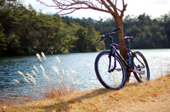 マウンテンバイク