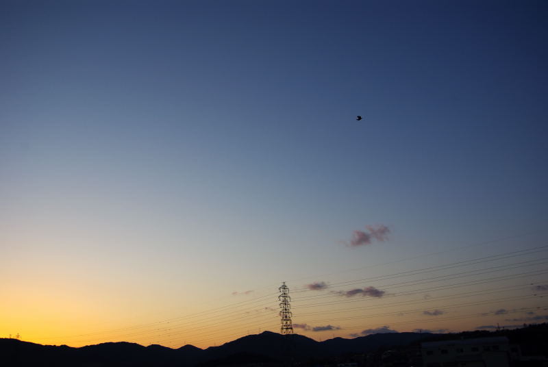 I夜に向かって