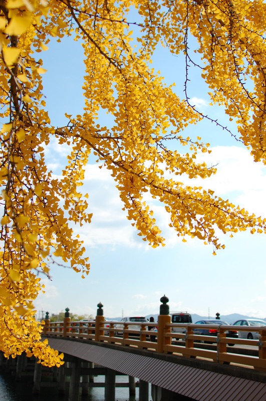 瀬田の唐橋