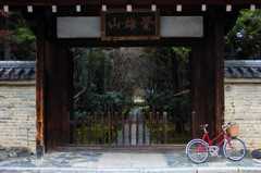 鹿王院