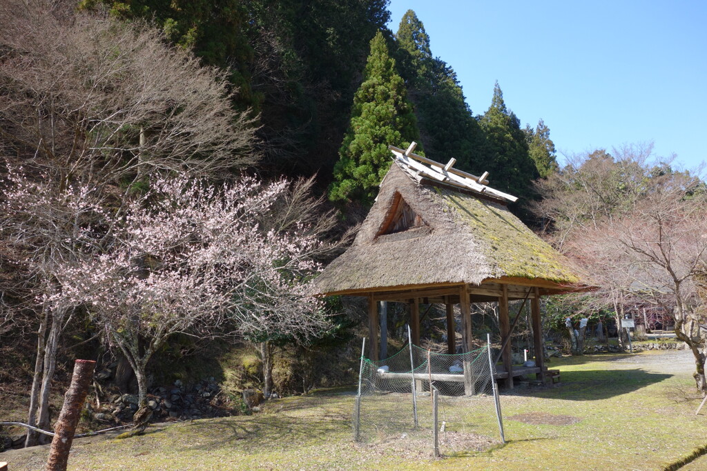 山間の神社