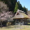 山間の神社
