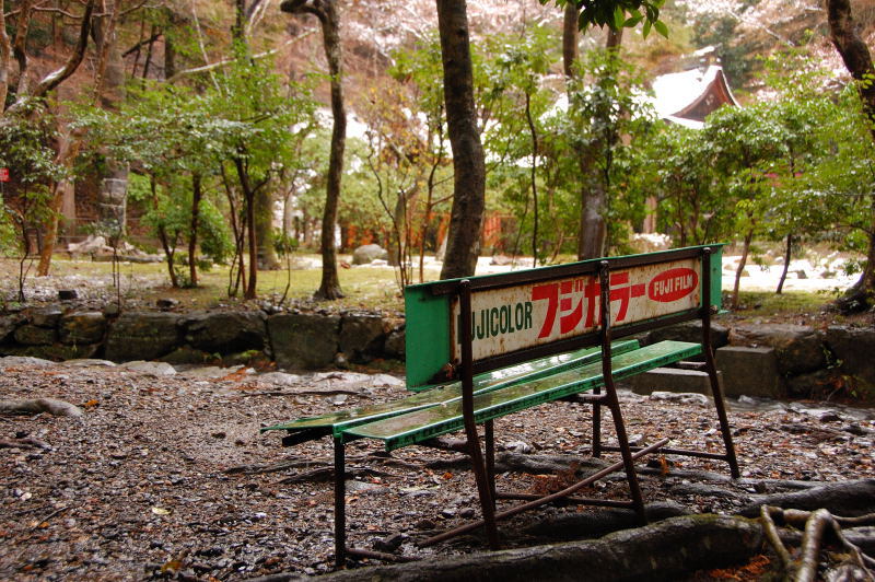 濡れたベンチ