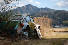 草むらビートル