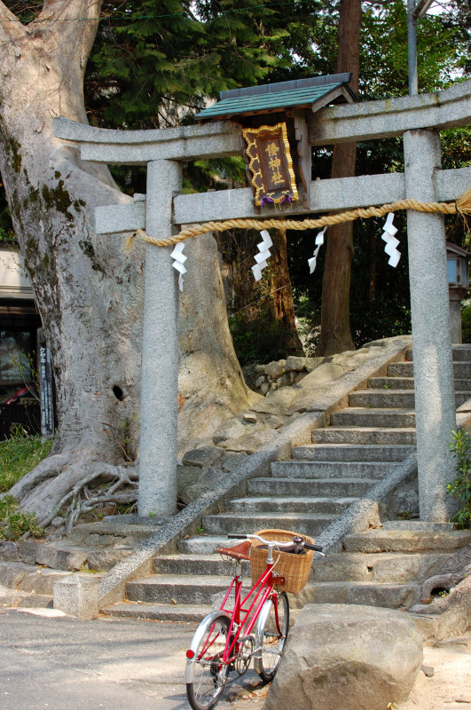 サイクリング