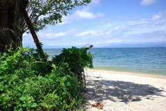 初夏　近江舞子　雄松崎
