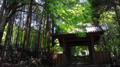 山麓の寺門