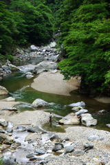 鮎の渓谷