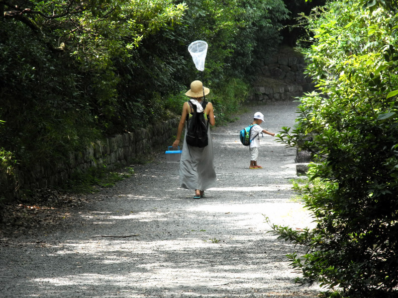夏の午後