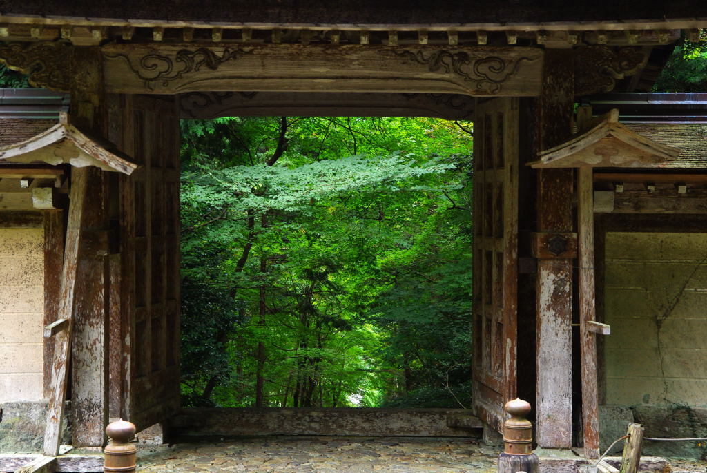 山門　常照皇寺
