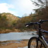 自転車