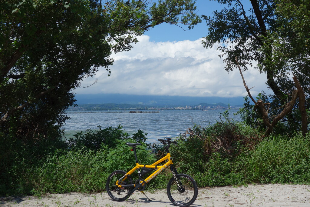 夏が来た。