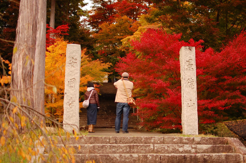 紅葉を撮りに