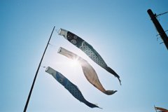 南郷　こいまつり