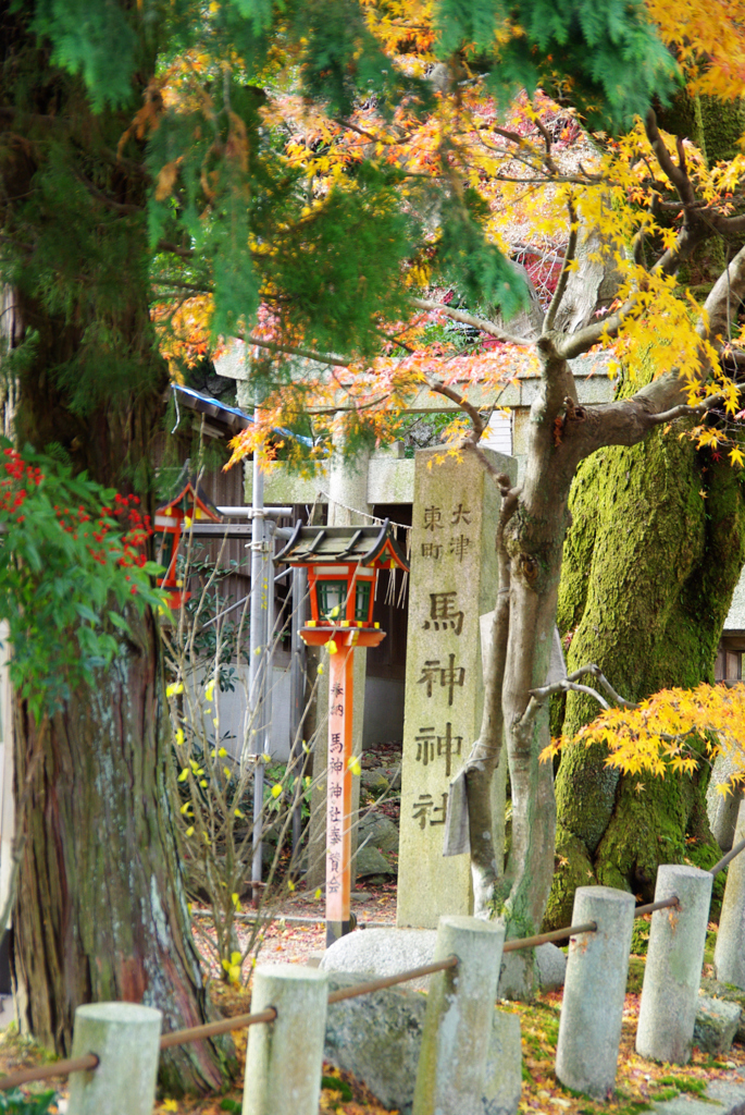 山麓でも紅葉。