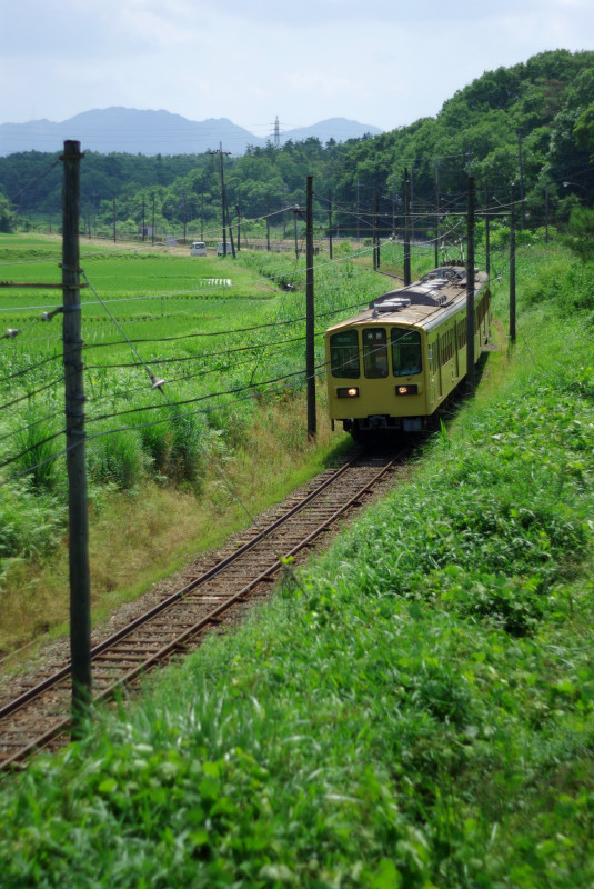 緑と黄色（近江鉄道）