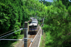 森の中を行く電車（JR草津線）