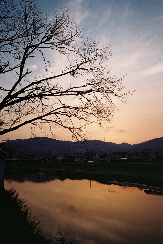 夕暮れ