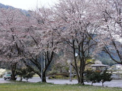 ツーリング2011