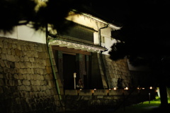 二条城 夜桜 ライトアップ