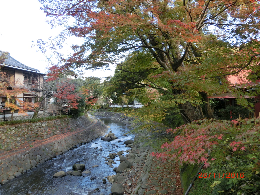 CIMG0639