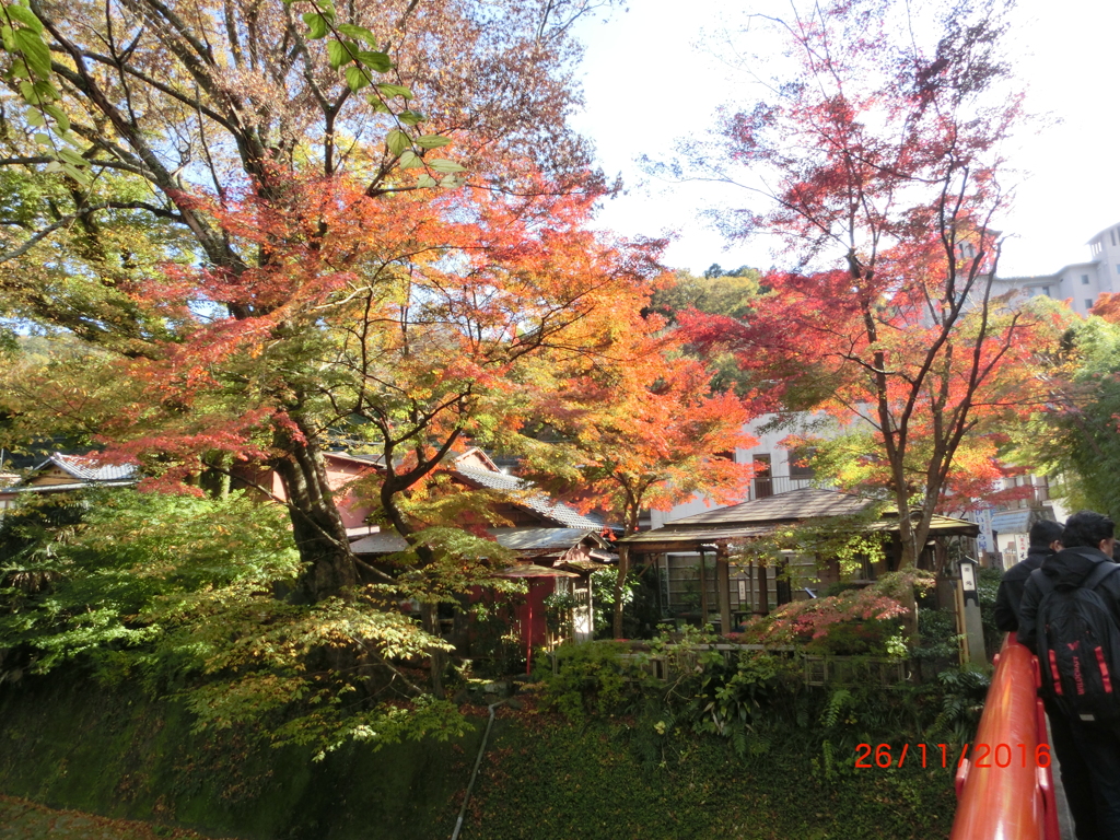 CIMG0644
