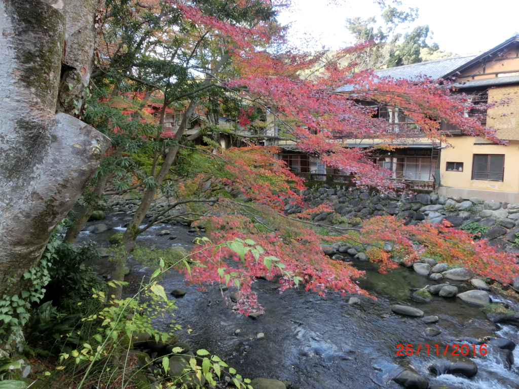CIMG0638