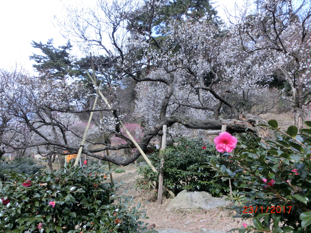 CIMG0682