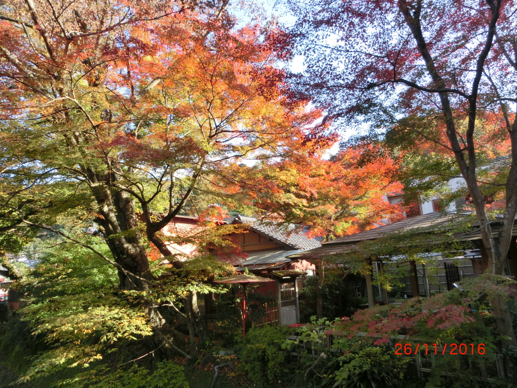 CIMG0656