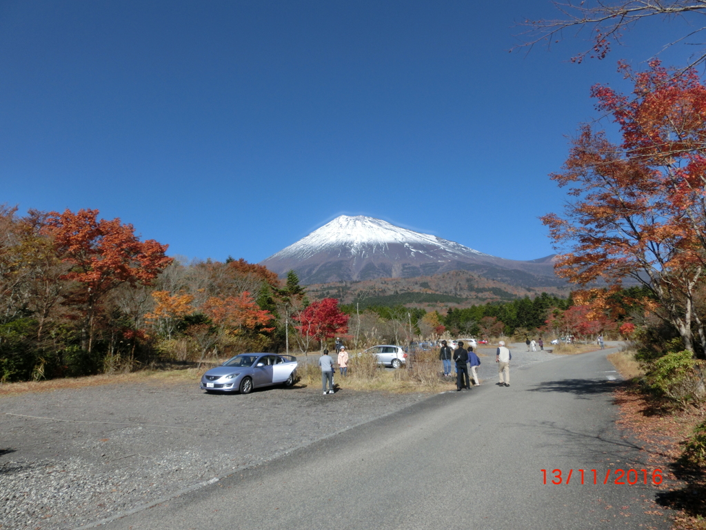 CIMG0545