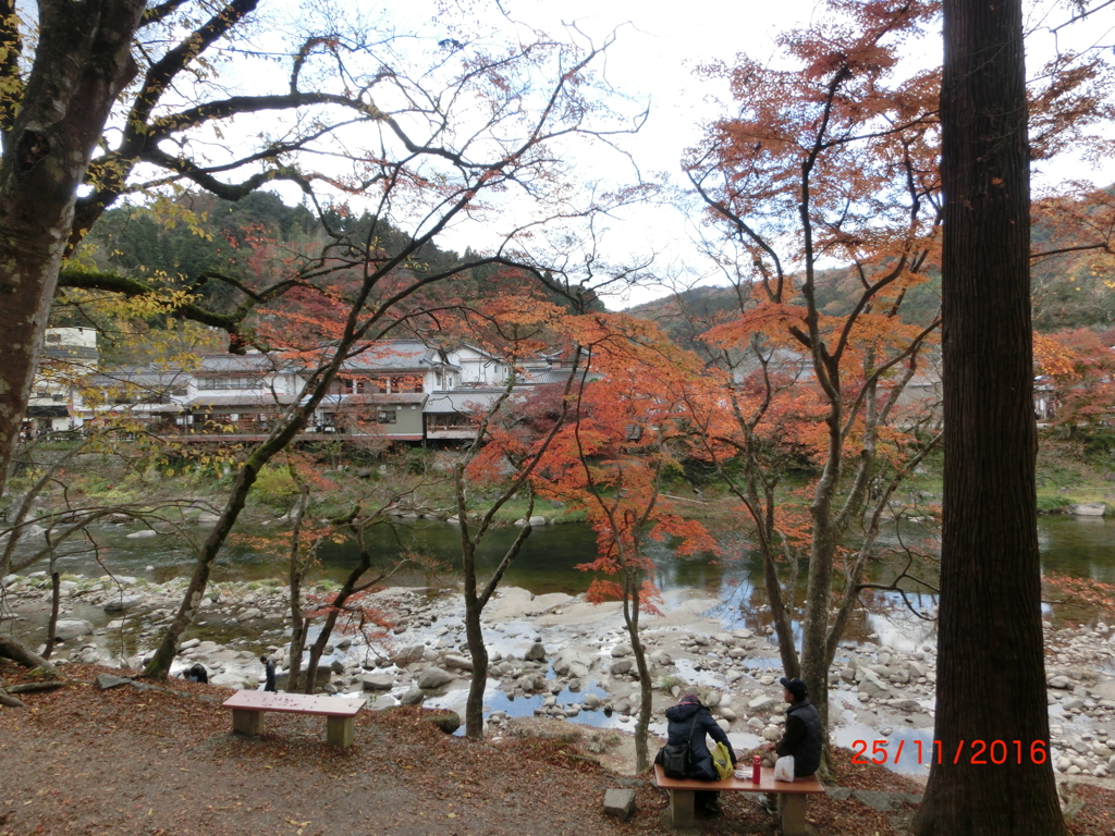 CIMG0607