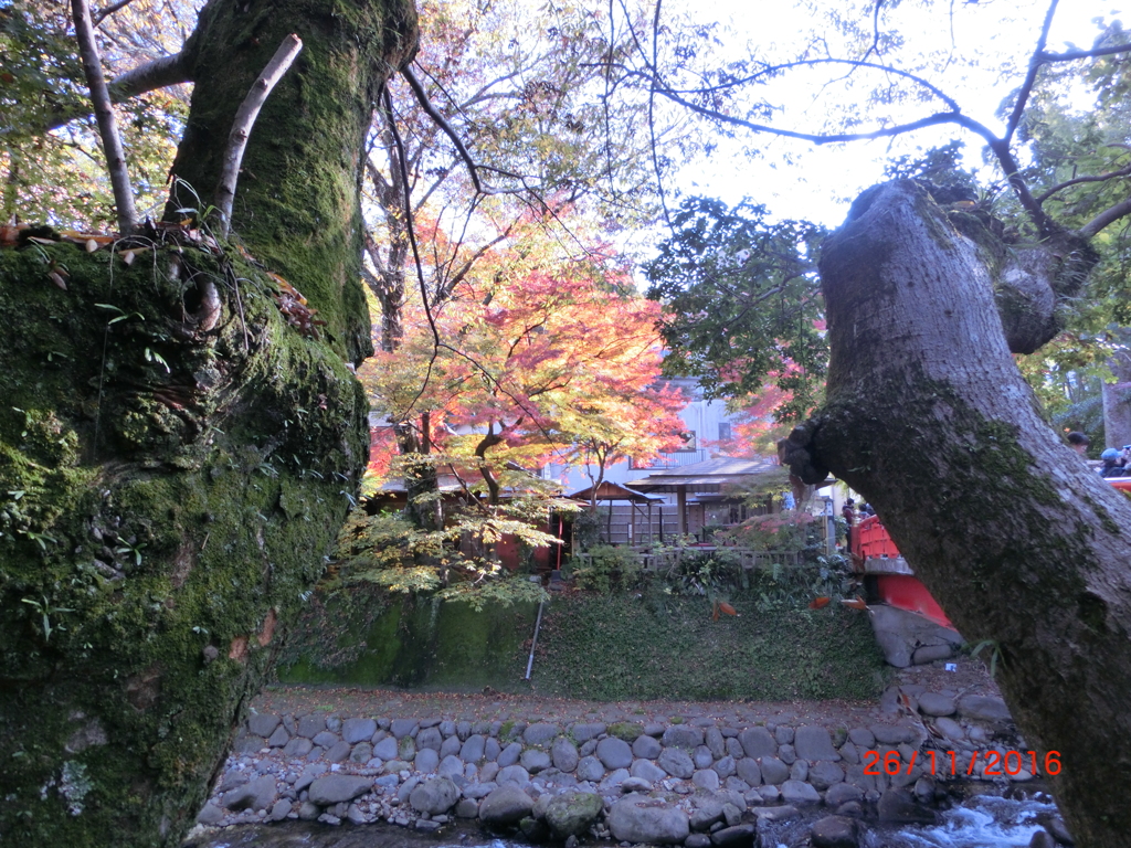 CIMG0653