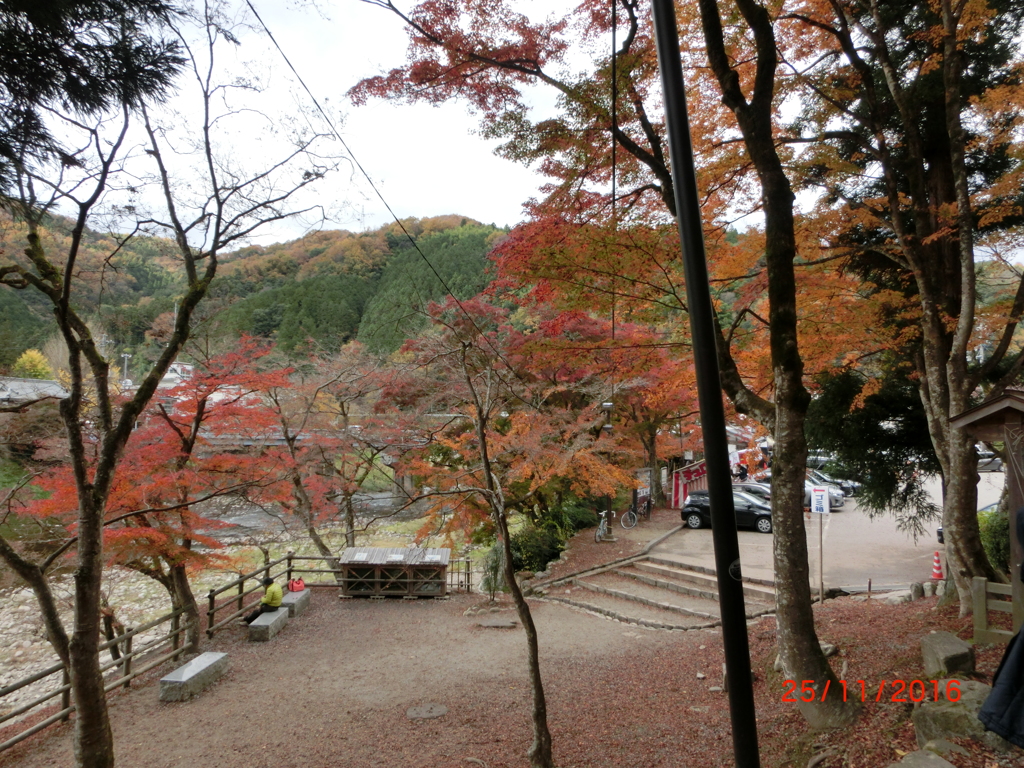 CIMG0606