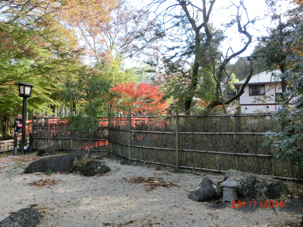 CIMG0631