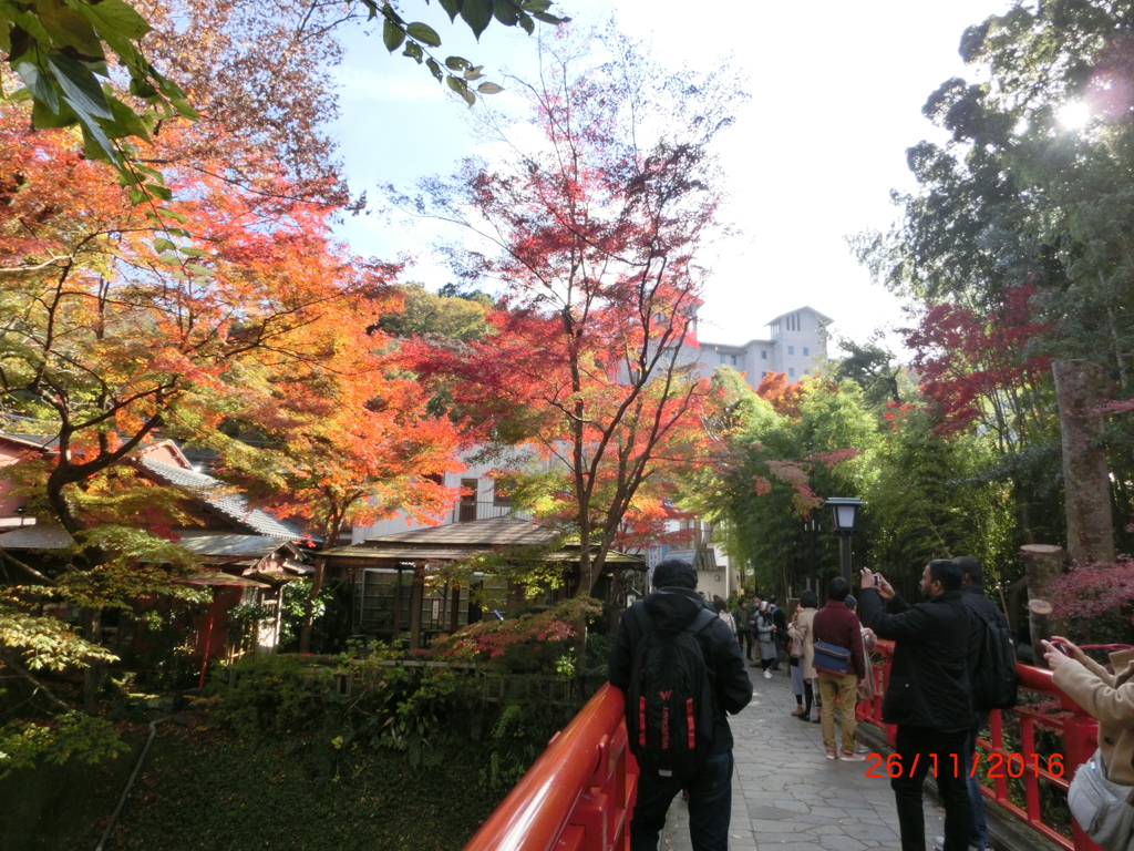 CIMG0642