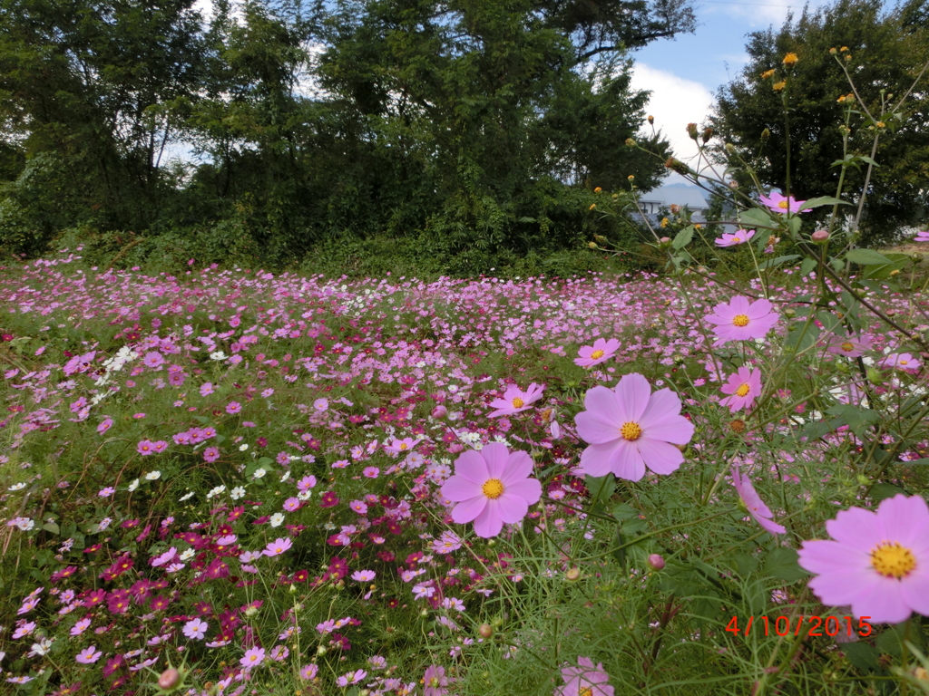 CIMG0267