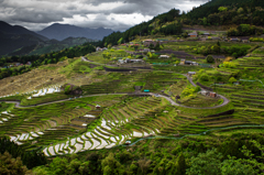 丸山千枚田