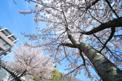 今年は４人で！